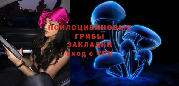 соль ск Алексеевка