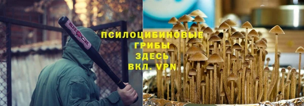 твердый Алзамай